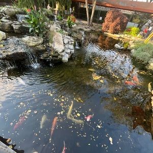 Meet your Posher, Sofia